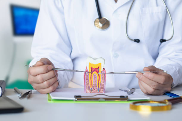 Best Broken or Cracked Tooth Emergency Dentist in Redwood, OR